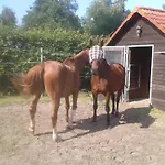 Lejlighed Frisia Ochtersum