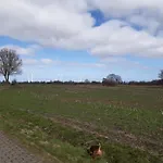 Frisia *