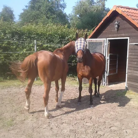 アパート Frisia Ostochtersum