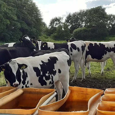 アパート Frisia *