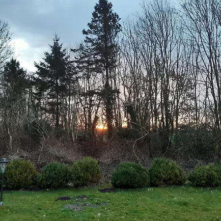 Frisia
