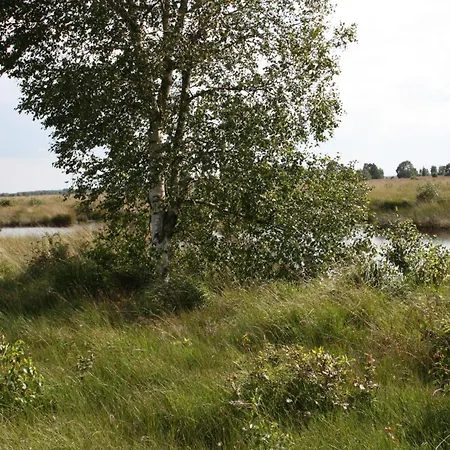 Frisia Apartment